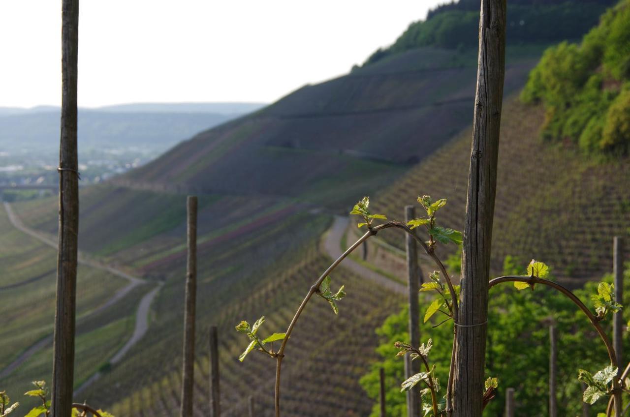Weingut Weich Hotel Riol Eksteriør billede